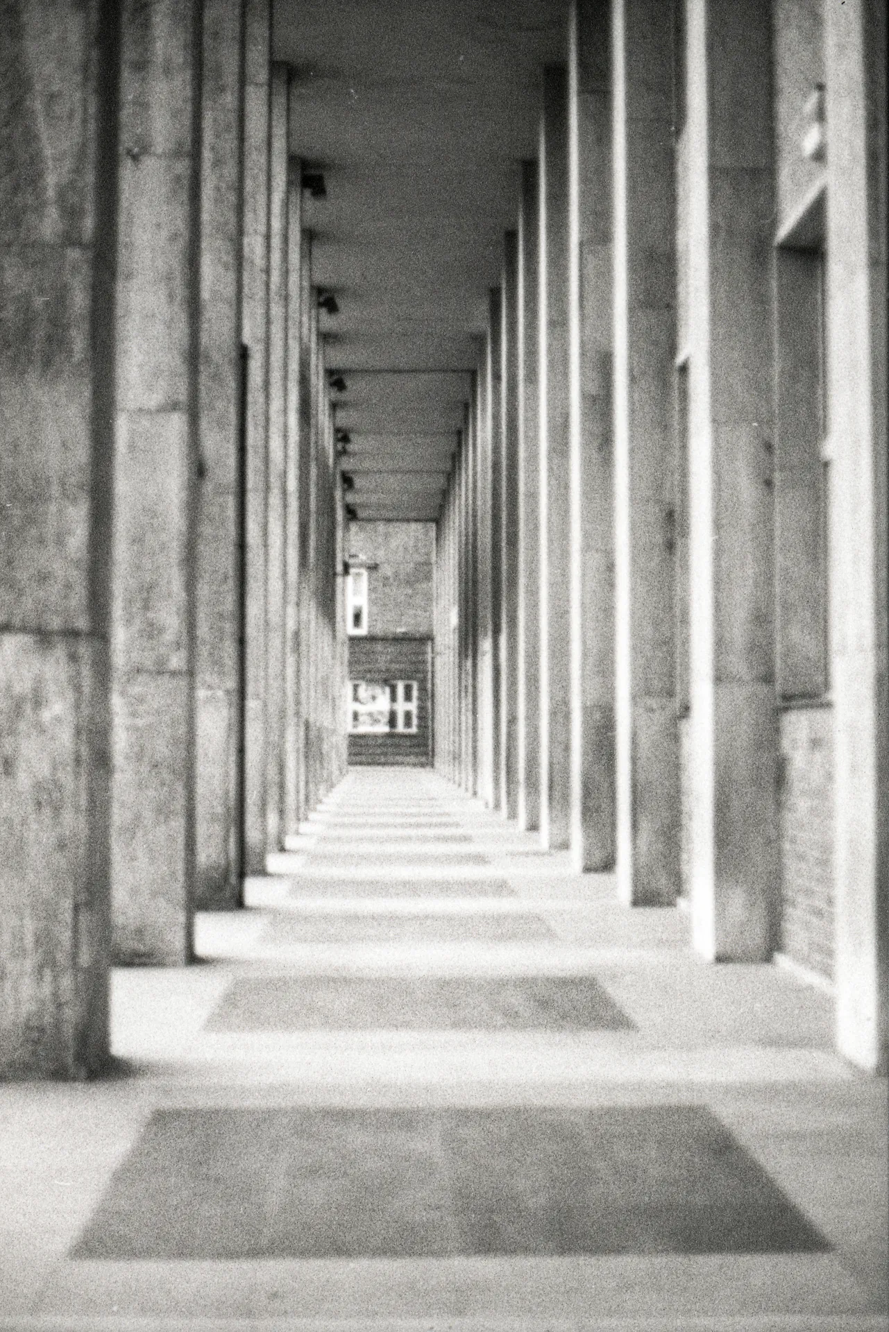 AM Architecture 2