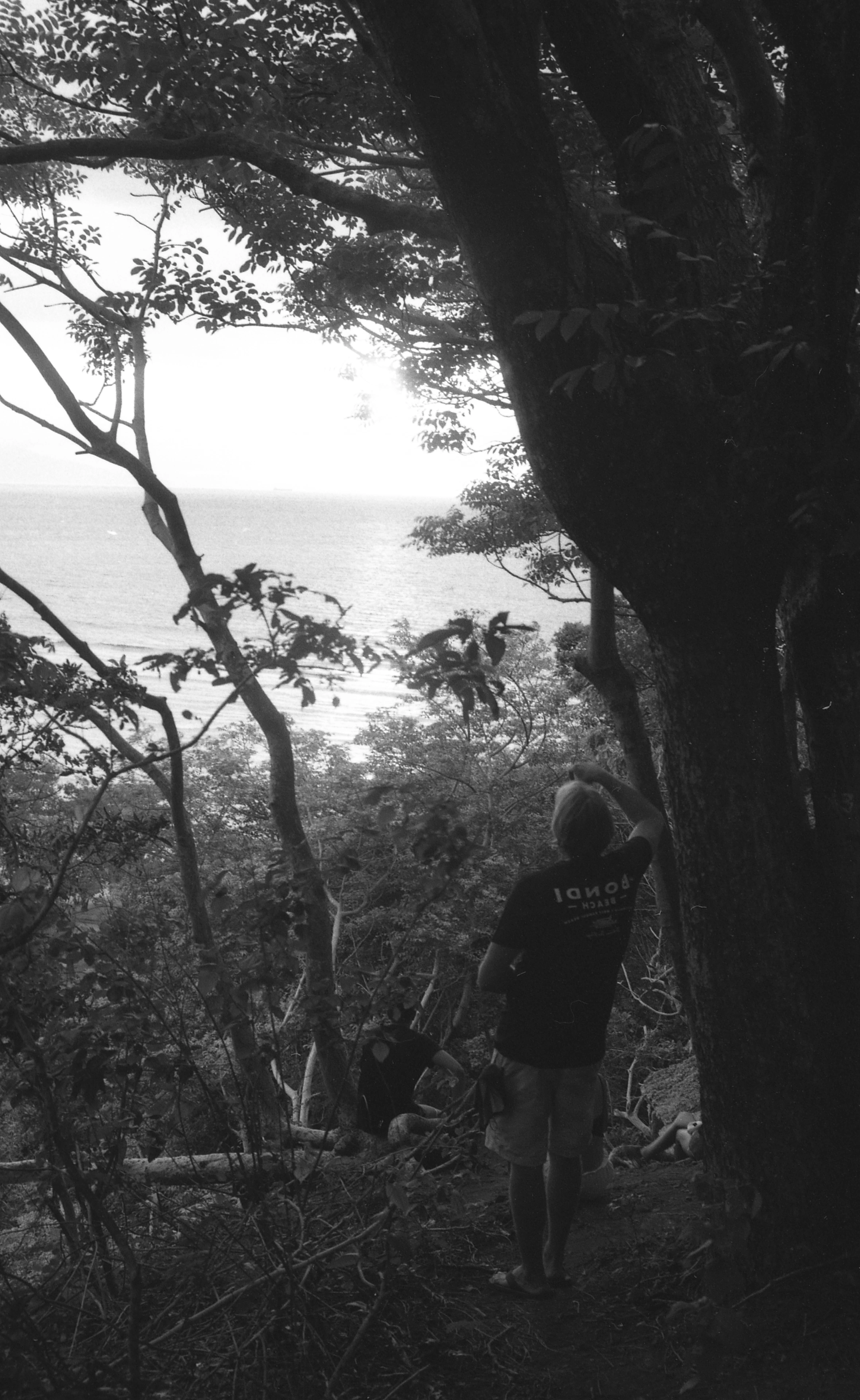 Indonesia Photo 6