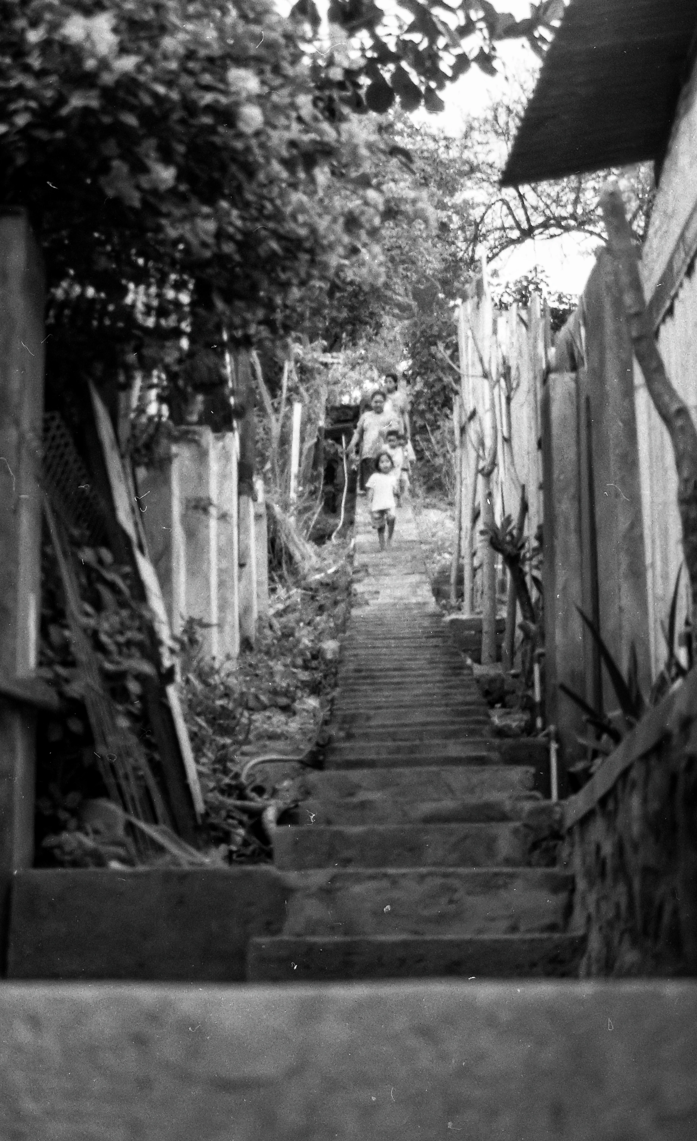 Indonesia Photo 12