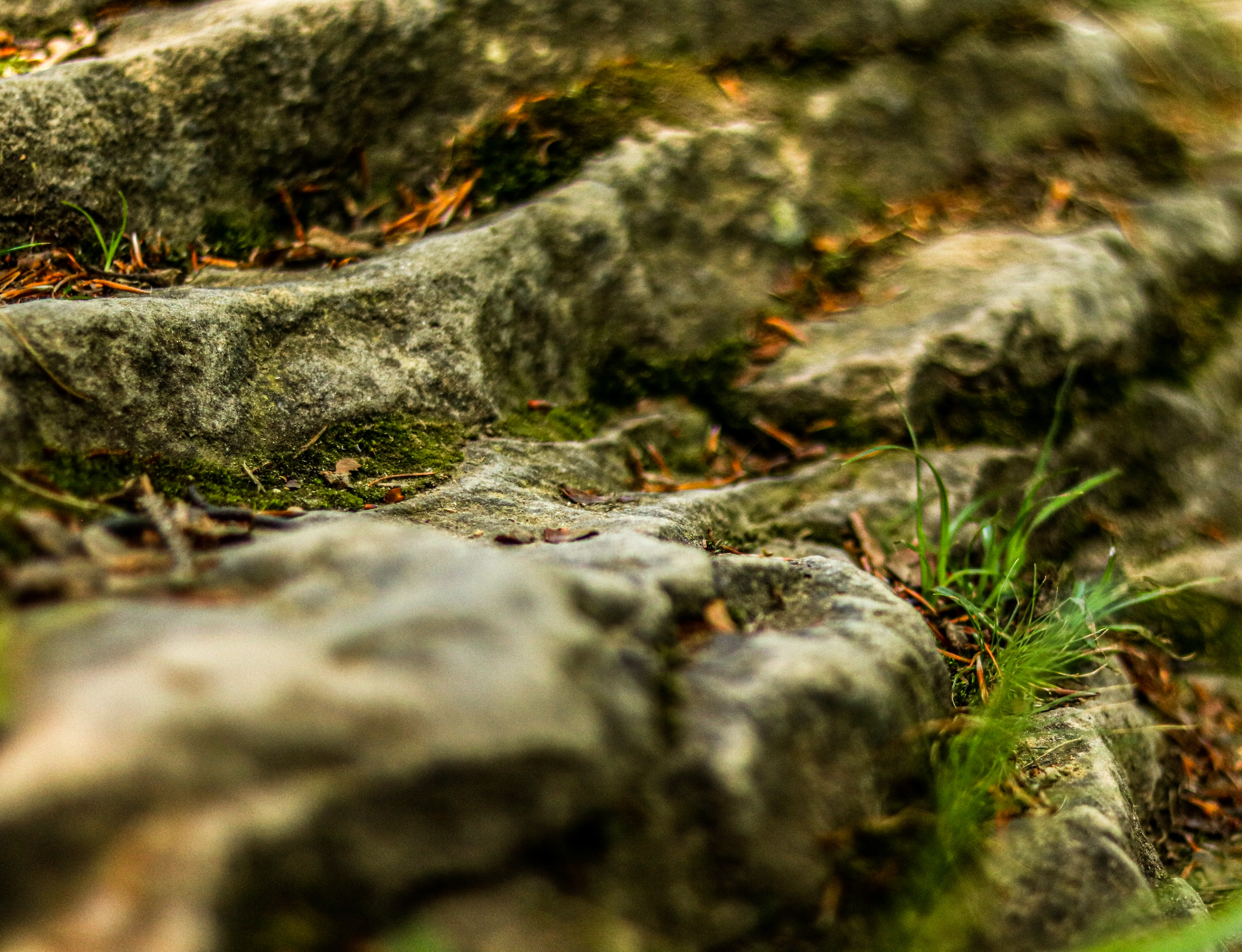 Nature Landscape 4