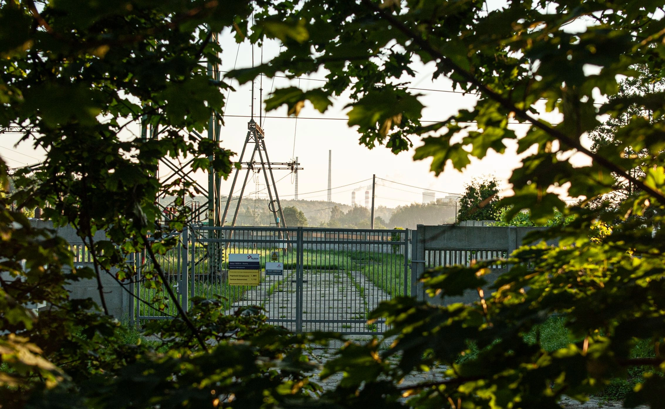 Nature Landscape 6
