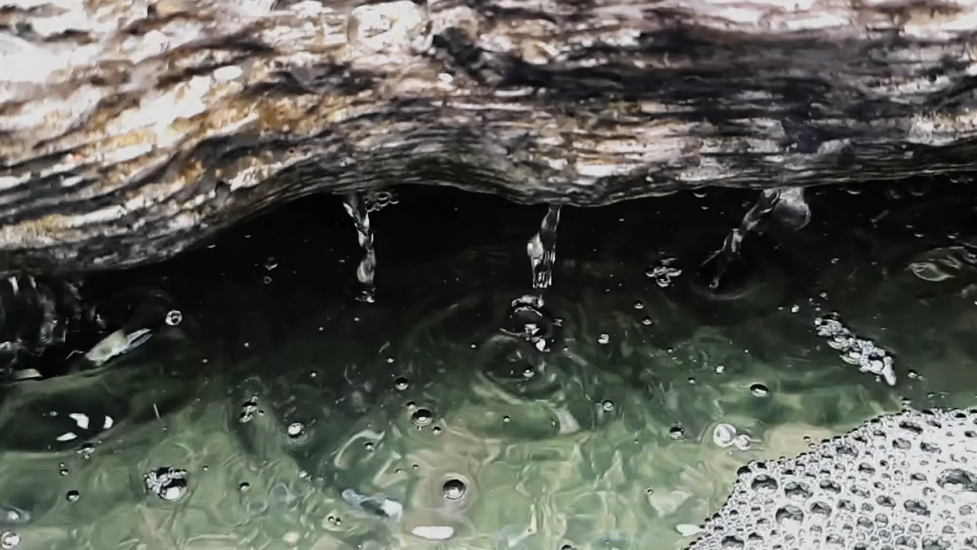 Am Water 003