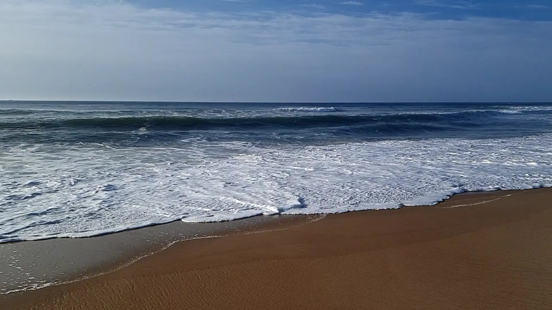Am Wave 002