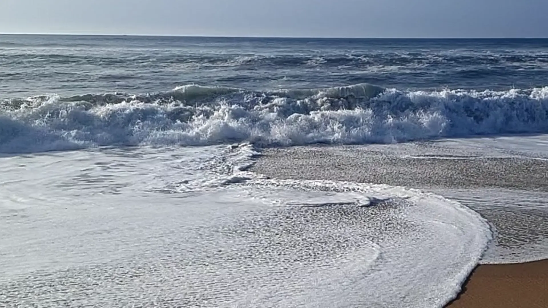 Am Wave 004