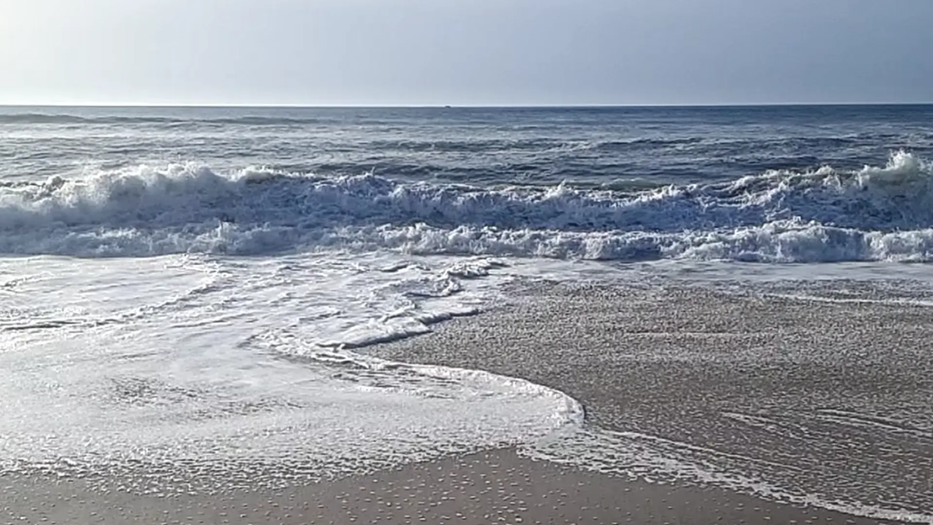 Am Wave 006